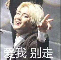 suho带字表情包,趣味横生的网络文化现象