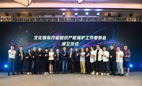 文化娱乐行业公司